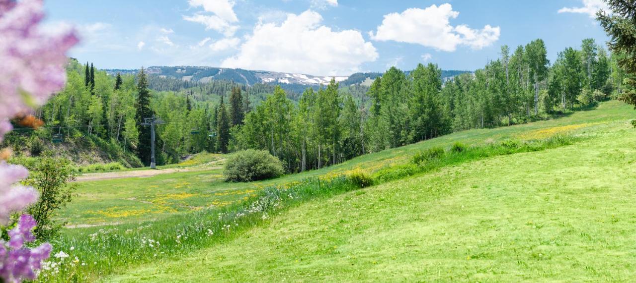 Laurelwood Condominiums 408 Snowmass Village Kültér fotó